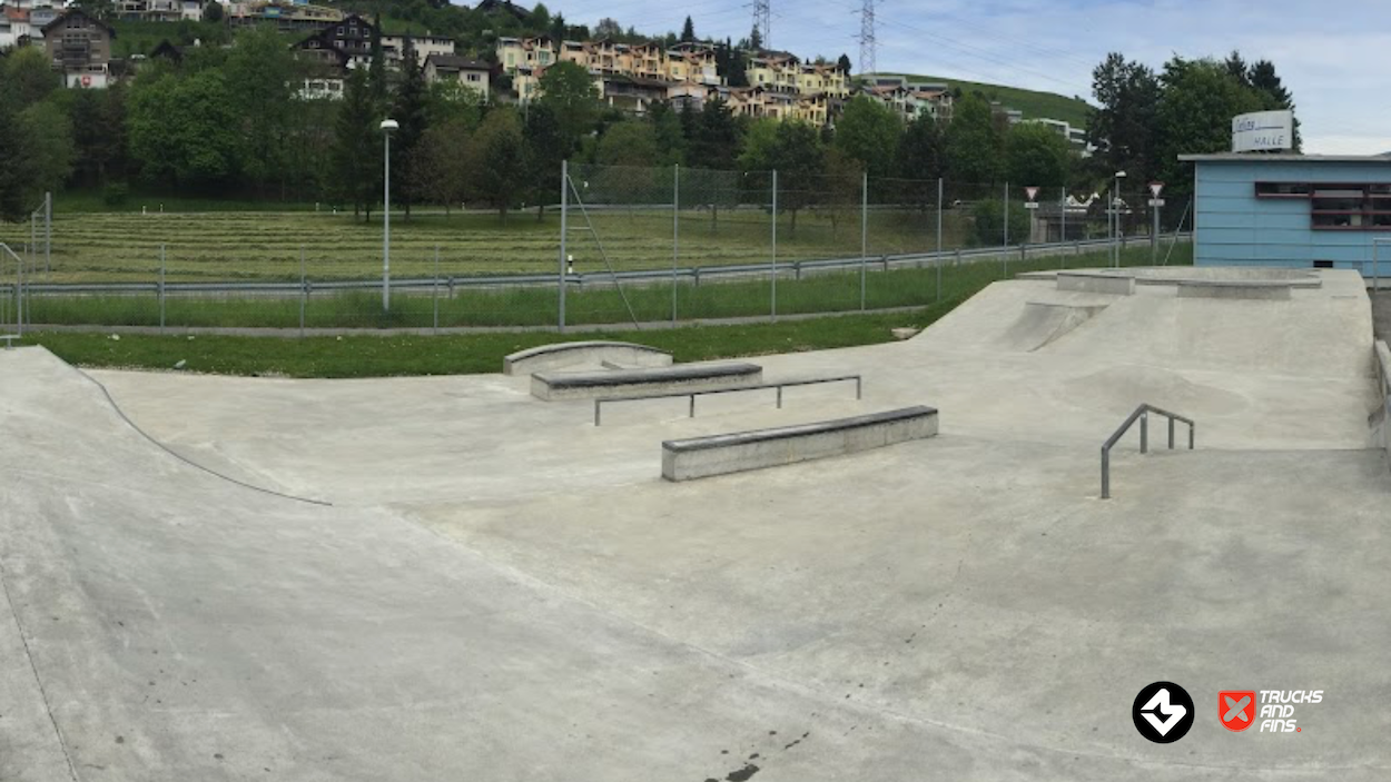Küssnacht am Rigi skatepark